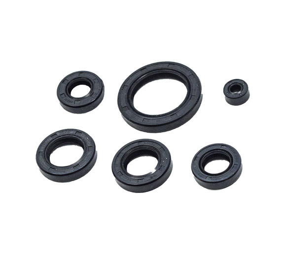 Набор сальников 165-169FMM/ 172 (CB250) pitbikemarket.ru